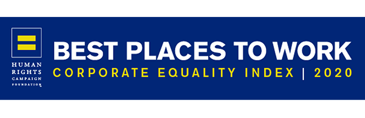 2020 Corporate Equality Index