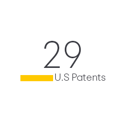 29 US Patents